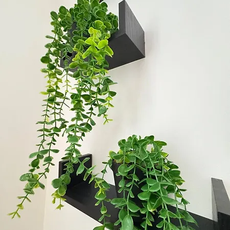 Wellington Apartment *